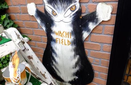 Yufuin no Nekoyashiki