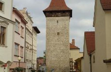 Wolf Tower
