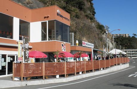 Zushi Beach Road Oasis