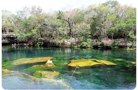 Cenote Jardín del Eden