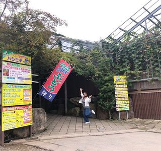 Okiune Farm