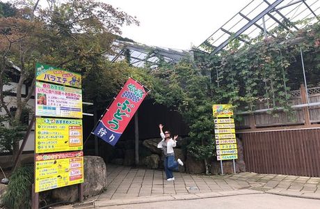 Okiune Farm