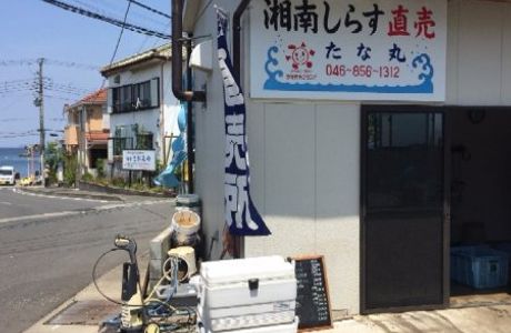 Shonan Shirasu Chokubaijo Tanamaru