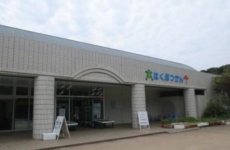 Kannonzaki Natural History Museum