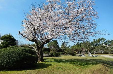Minatoyama Park