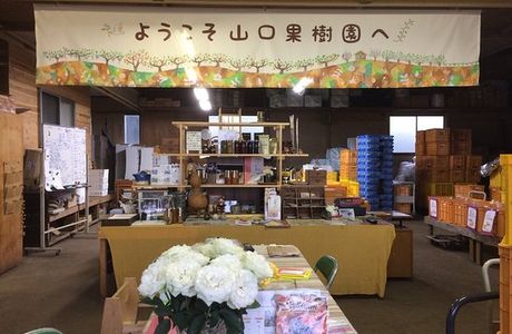 Yamaguchi Orchards