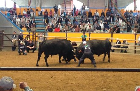 Uwajima City Bull Ring