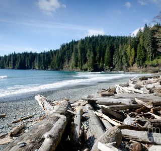 Juan de Fuca Provincial Park