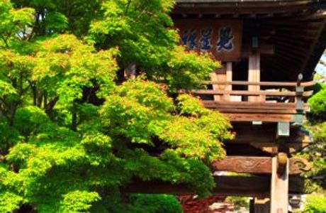 Kenshozenji Temple