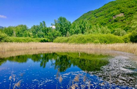 Biotopo Lago Costa