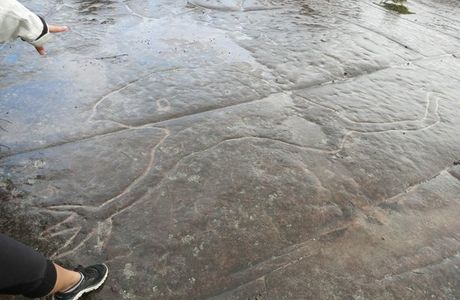 Elvina Track Aboriginal Engraving Site