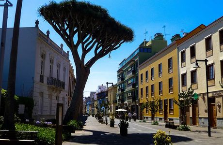 Centro Hípico La Hákima