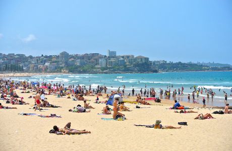 North Steyne Beach