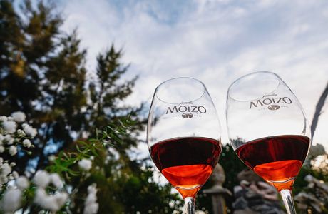 Bodega Familia Moizo