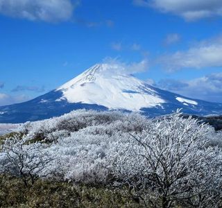 Mount Fuji Museum