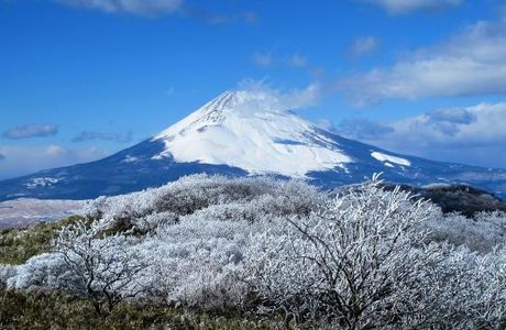 Mount Fuji Museum