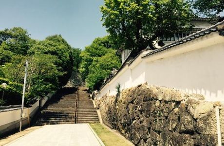 Tsuyama Nature & Mystery Museum