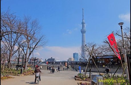 Tower View Street