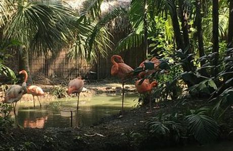 El Pantanal