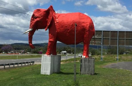 The Big Red Elephant