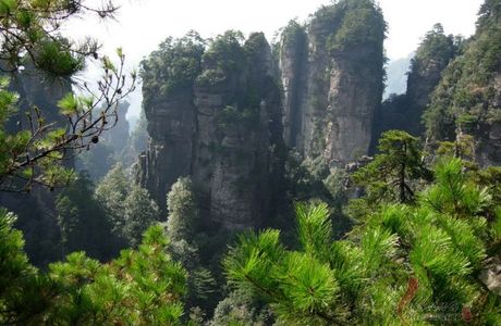 Chongqing Wuling Mountain Forest Park