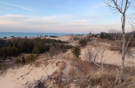 Dune Succession Trail