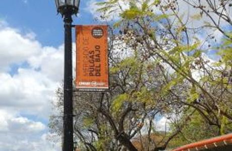 Mercado de Pulgas del Bajo