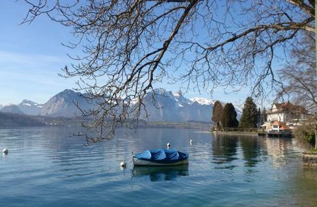 Verein Panorama Rundweg Thunersee