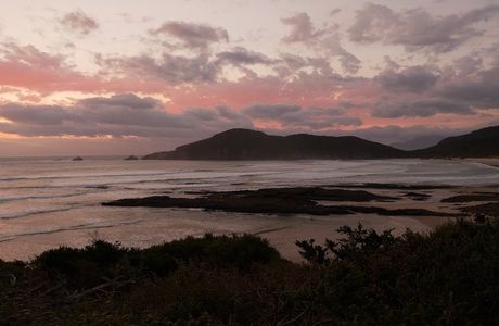 South Coast Track