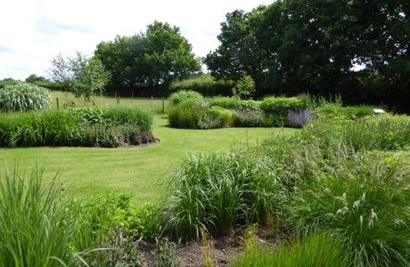 Hoecroft Plants and Gardens