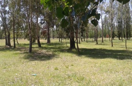 Parque Juan Domingo Peron