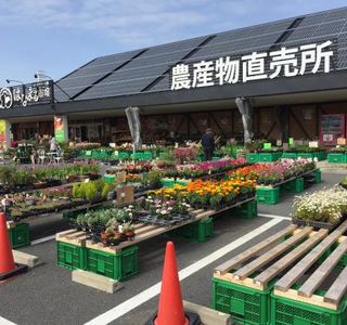 Michi-no-Eki Rosemary Garden