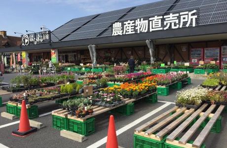 Michi-no-Eki Rosemary Garden