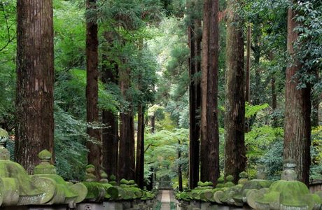 Heirin-ji Temple