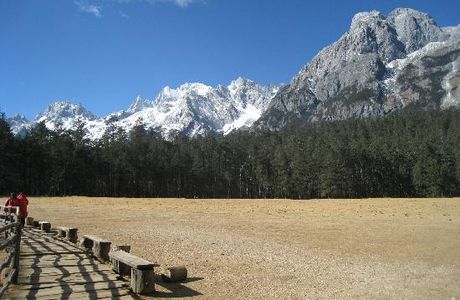Lijiang Spruce Plain