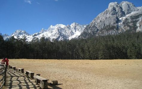 Lijiang Spruce Plain 1