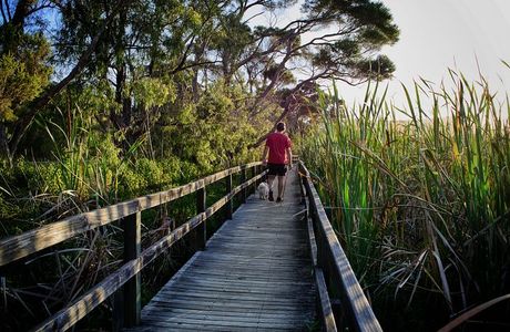 Keith Hateley Nature Walk