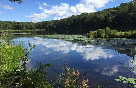 Egbert's Lake Park