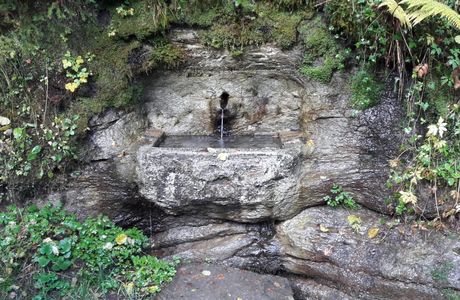 Le Chemin des Fontaines des Bois du Jorat