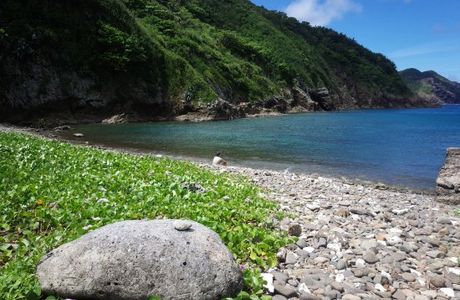 North Port