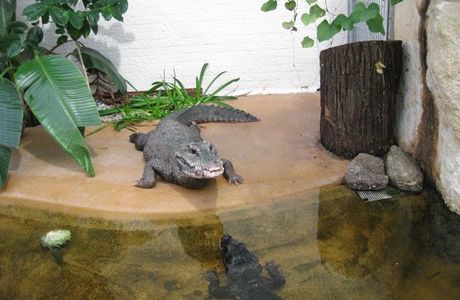 Zoo Vivarium Darmstadt