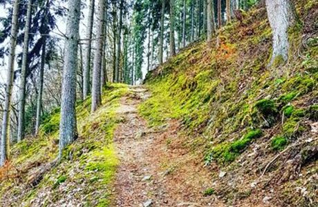 Circular Walk Clervaux