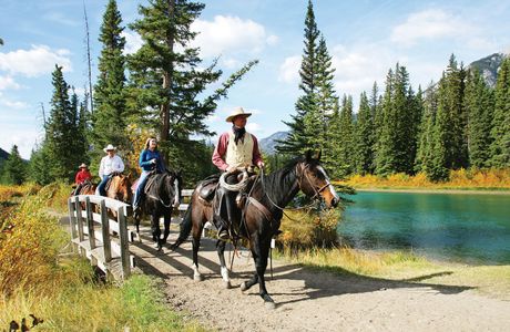 Wilderness Pursuit Horseback Adventures