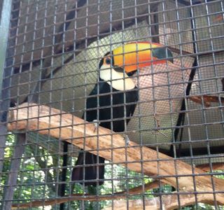 Jardin De Los Pajaros