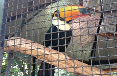 Jardin De Los Pajaros