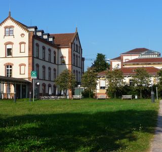 Sammlung Prinzhorn