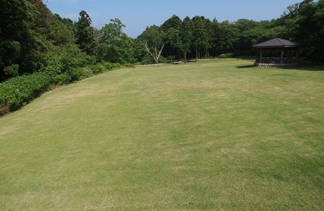 Niigata Ogata Greenery Park