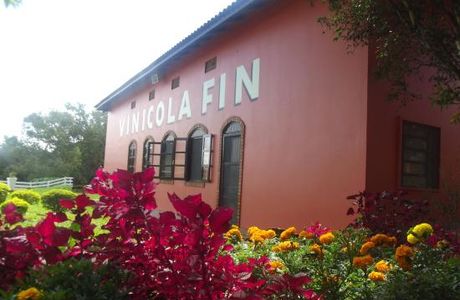 Vinícola Fin