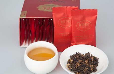 Nangang Tea Manufacturer Display