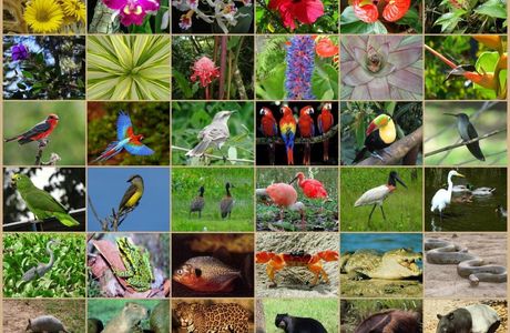 Kiata Flora and Fauna Reserve